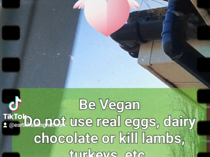 The Vegan Symbolism of Easter Eggs