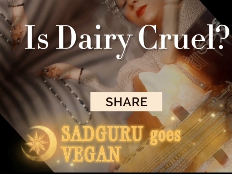 Sadguru Goes Vegan: A Hilarious and Educational Spoof on Dairy