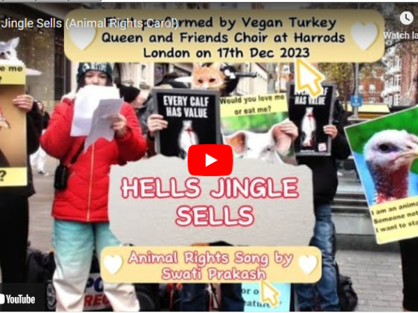 Chrismas Songs and Carols for Animal Rights